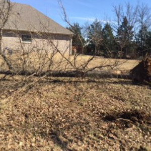 Lot Clearing Ardmore Oklahoma