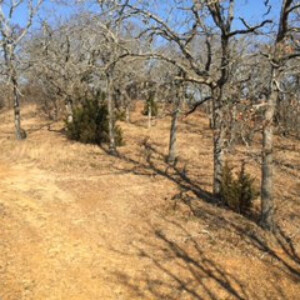 Lot Clearing Kingston Oklahoma