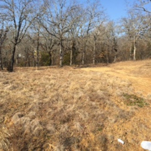 Lot Clearing Kingston Oklahoma
