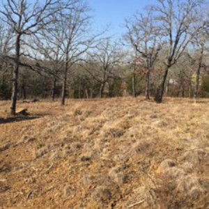 Land Clearing Kingston OK